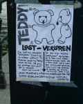 Missing teddy